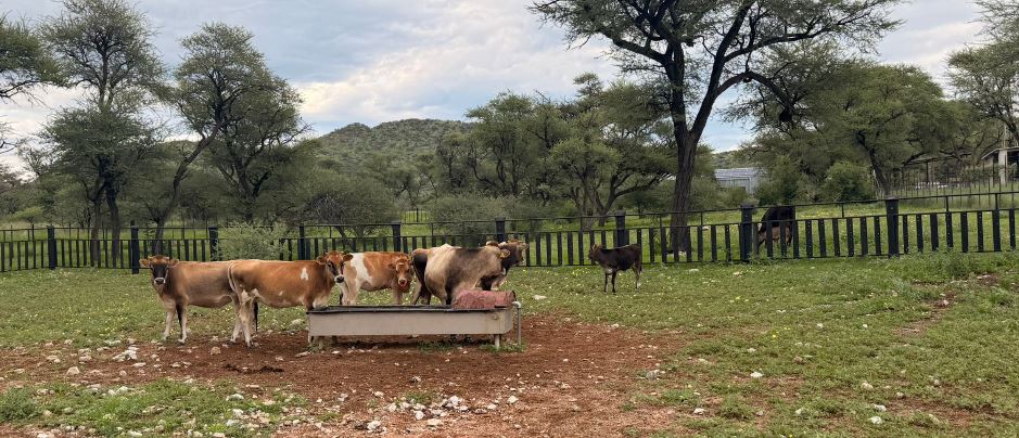 OKAVANDU Farm as Employer