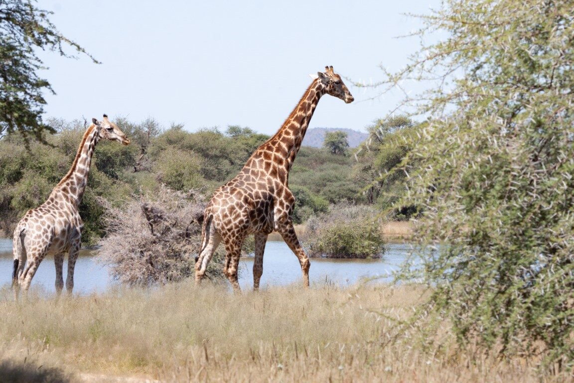 IMG 4501 lightroom 417