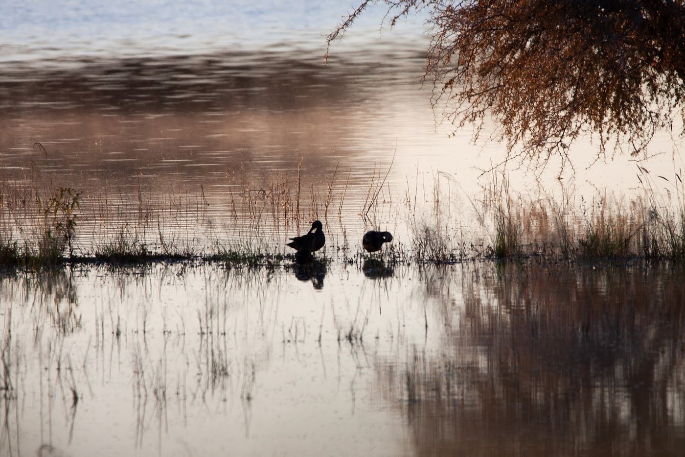 Biodiversity Namibia